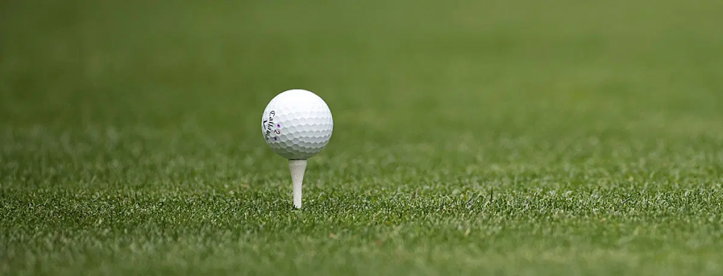 Golf Wettanbieter Vergleich